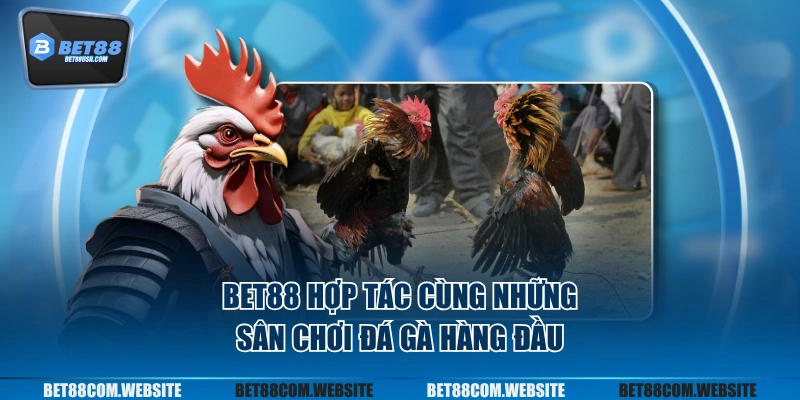 BET88 hợp tác cùng những sân chơi đá gà hàng đầu