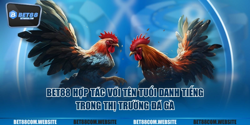 BET88 hợp tác với tên tuổi danh tiếng trong thị trường đá gà