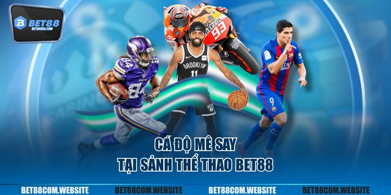 Cá độ mê say tại sảnh thể thao BET88