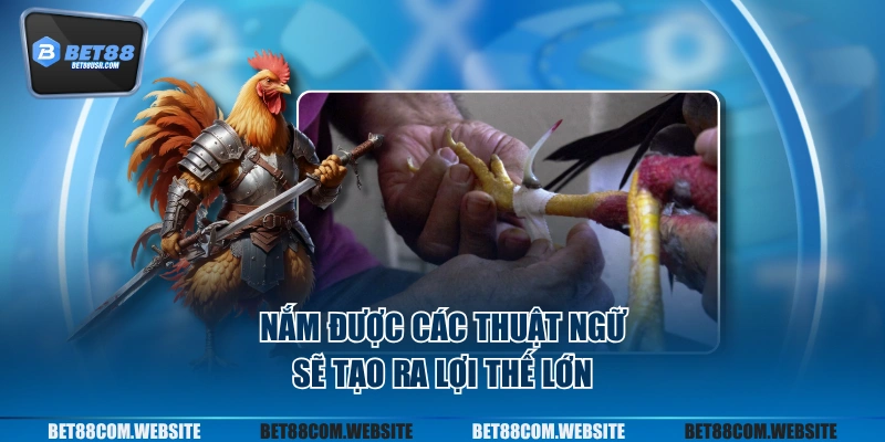 Nắm được các thuật ngữ sẽ tạo ra lợi thế lớn