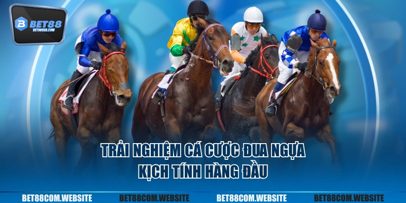 Trải nghiệm cá cược đua ngựa kịch tính hàng đầu