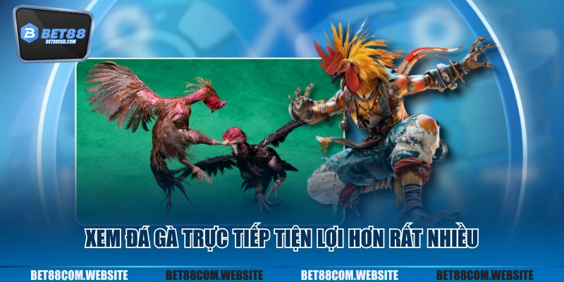 Xem đá gà trực tiếp tiện lợi hơn rất nhiều